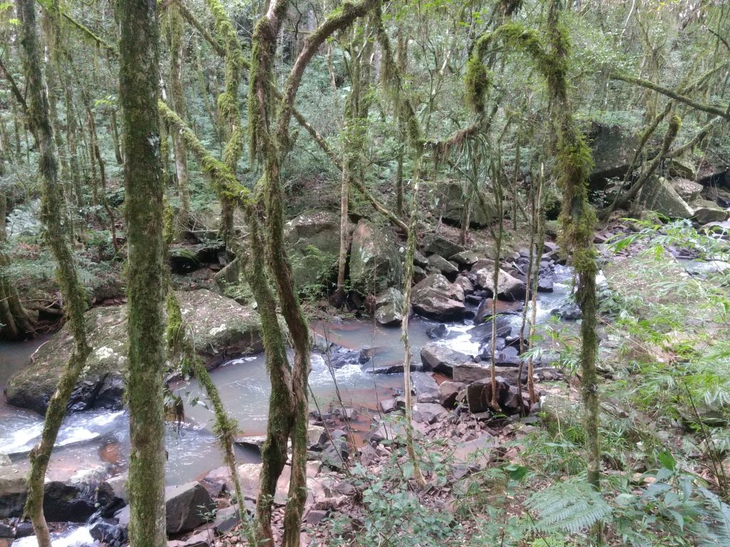 Cachoeira Taimbé